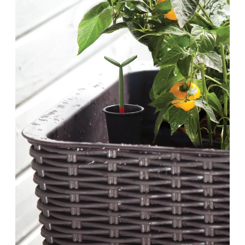 Kenyen 1 - Piece Plastic Elevated Planter | Wayfair North America