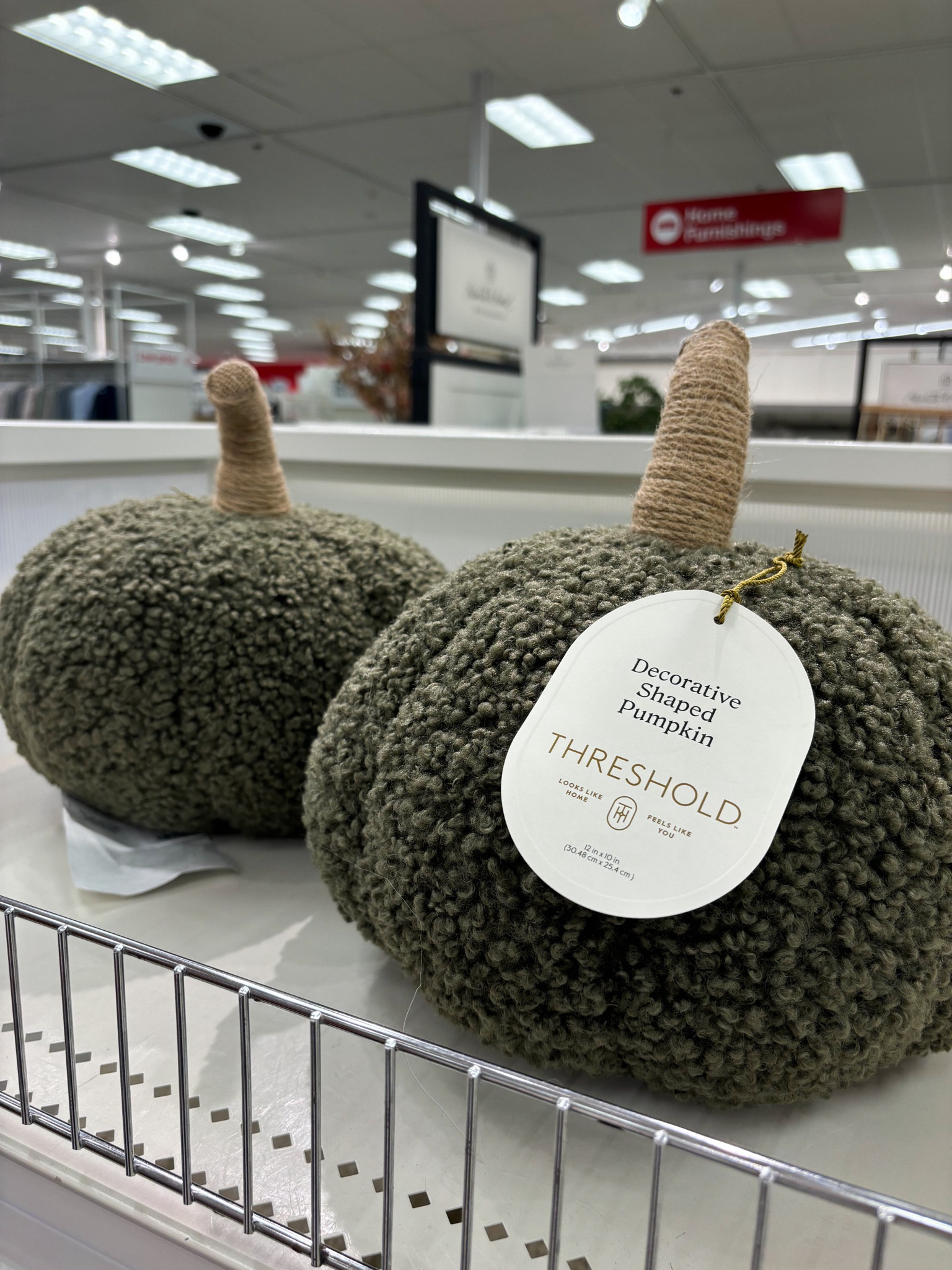 Fall pumpkins at target 

#LTKHome #LTKStyleTip #LTKSeasonal