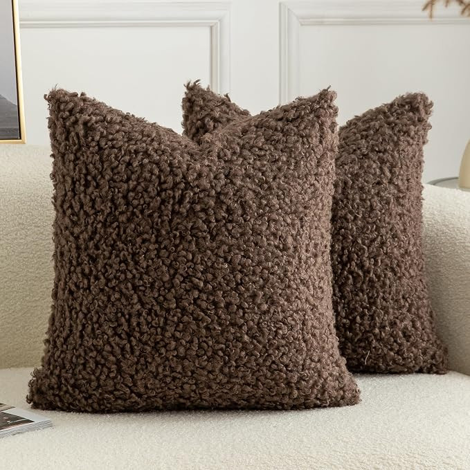 Pack of 2 Curly Teddy Wool Faux Fur Throw Pillow Covers Fuzzy Accent Soft Sherpa Pillowcases Shee... | Amazon (US)