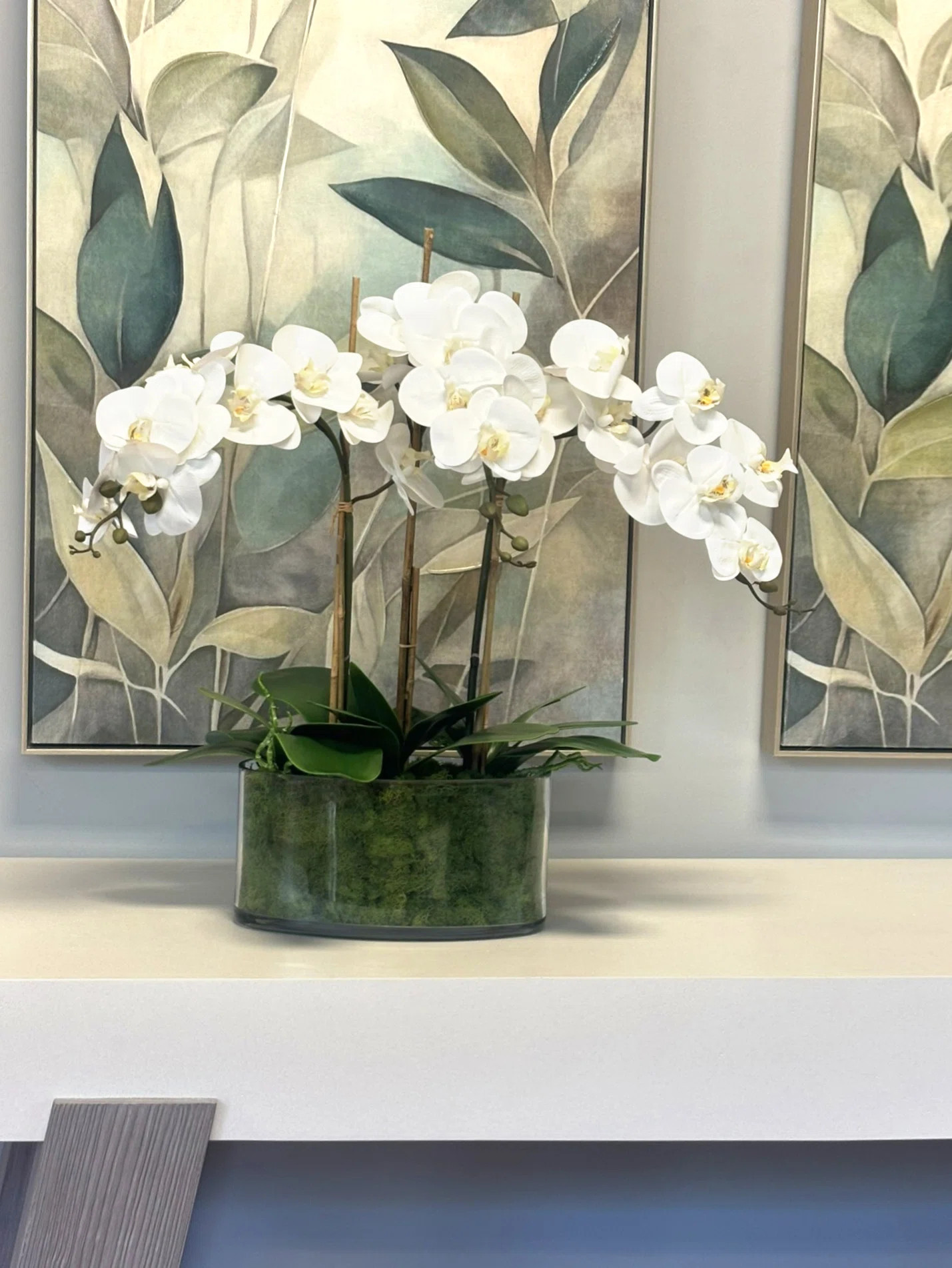 Kerwin Organic Modern Orchid Arrangement | Wayfair North America
