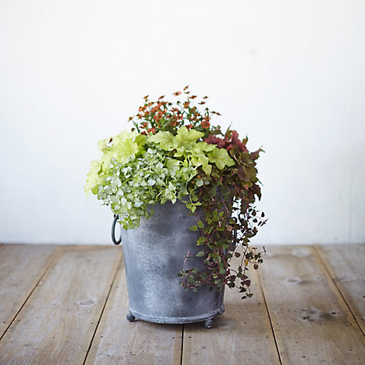 Galvanized Ring Handle Planter, 17" | Terrain