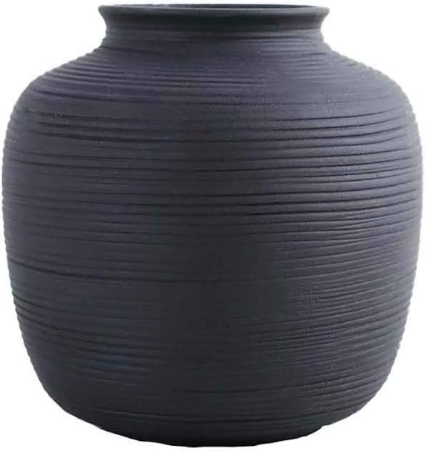 Vaskey Brushed Black Small Vase Dried Flower Aromatherapy Bottle Crafts Ornaments Flower Arrangem... | Amazon (US)