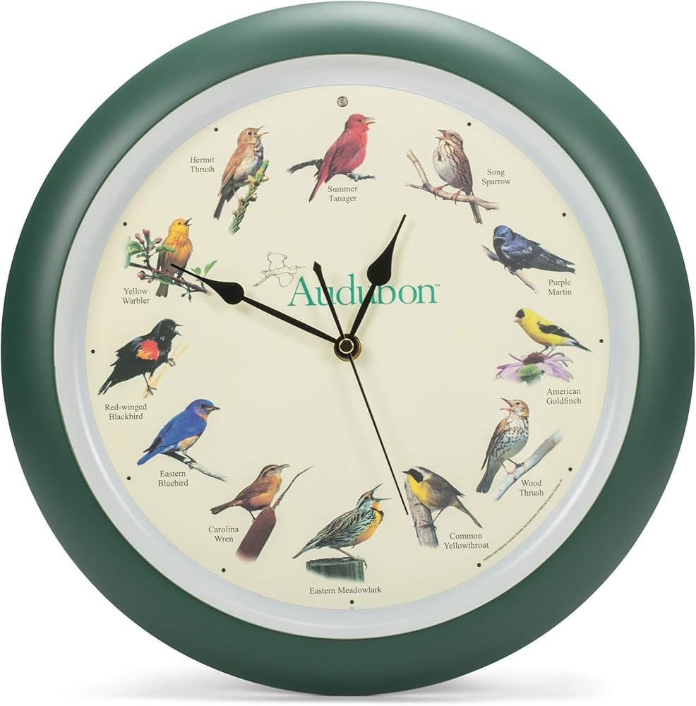 Mark Feldstein & Associates Audubon Singing Bird Wall Clock, 13 Inch | Amazon (US)