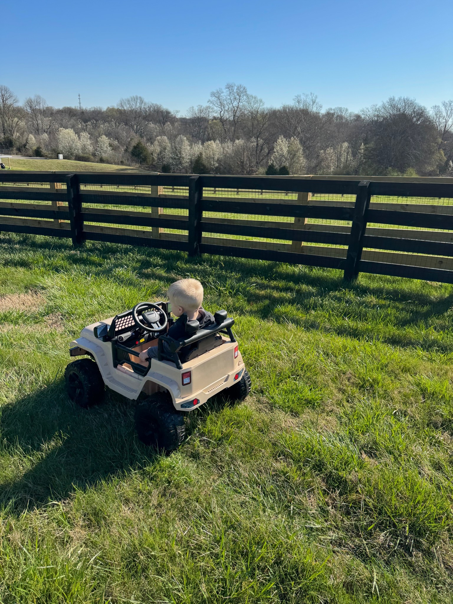 Our most used outdoor toddler toy is this parent remote controlled jeep / truck ☀️

Kids birthday gifts, second birthday gift ideas, toddler gifts, outdoor toys



#LTKKids #LTKHome #LTKFamily