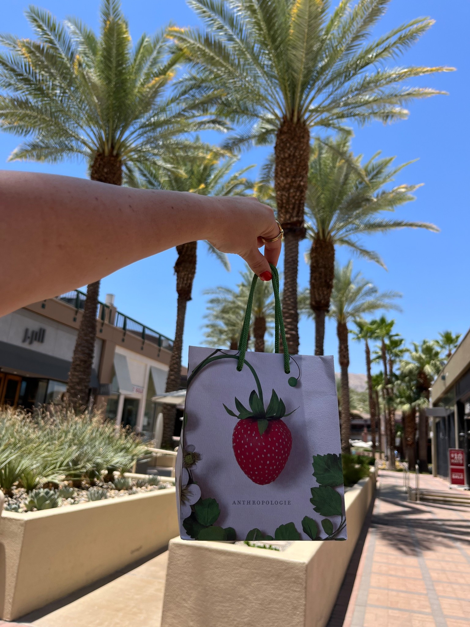 My favorite perfume that I buy once a year // perfect scent for everyday 

#LTKBeauty #LTKFindsUnder50