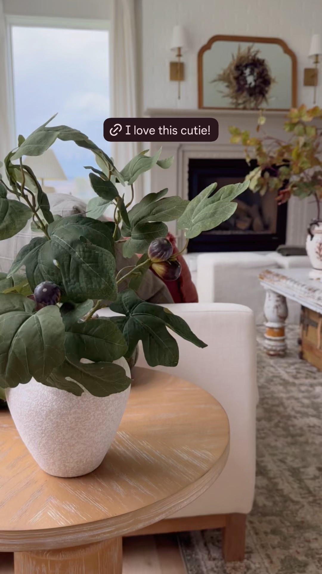 I found the most darling faux fig plant. It looks beautiful in every room! It’s also under $20.

#LTKHome #LTKSeasonal #LTKSaleAlert