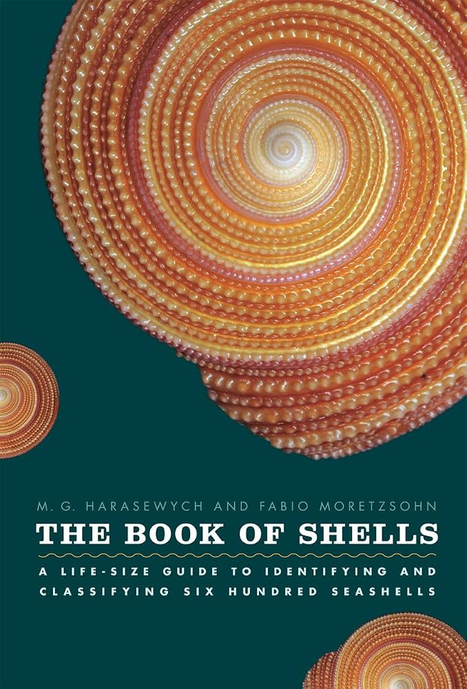 The Book of Shells: A Life-Size Guide to Identifying and Classifying Six Hundred Seashells (Life-... | Amazon (US)