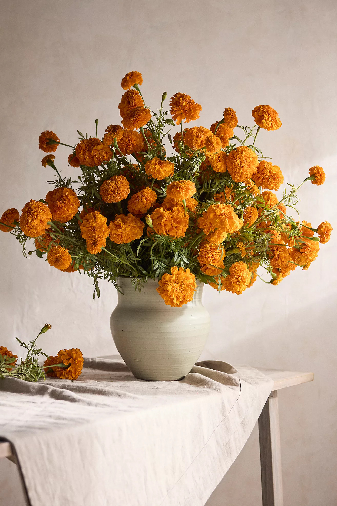 Fresh Marigold Bouquet | Terrain