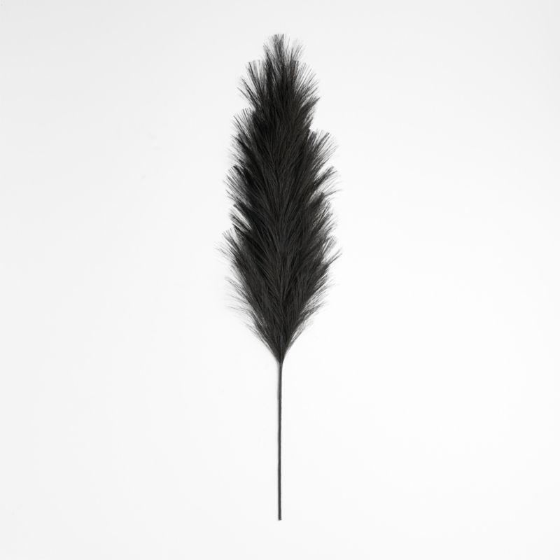 Black Faux Pampas Grass + Reviews | Crate & Barrel | Crate & Barrel