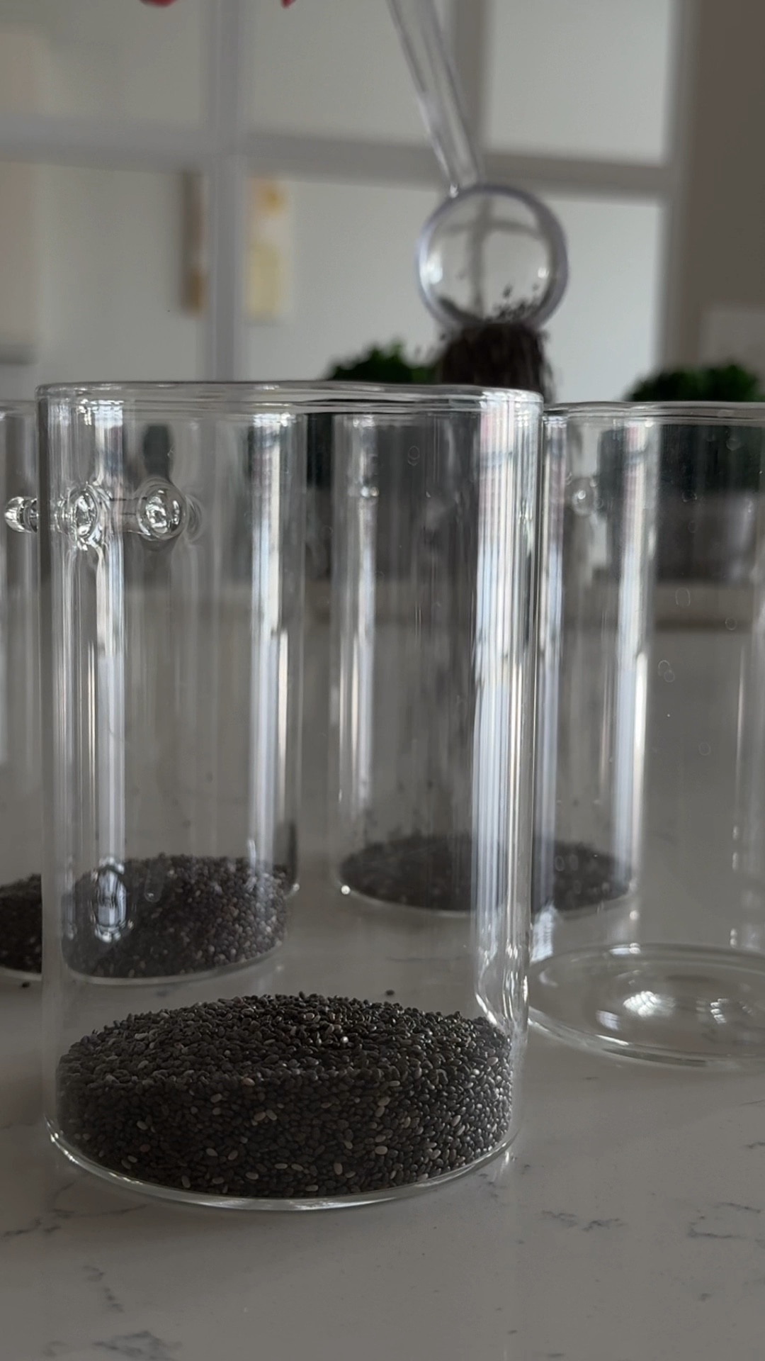 Chia Seed Pudding Meal Prep 🥰

#LTKVideo #LTKhome