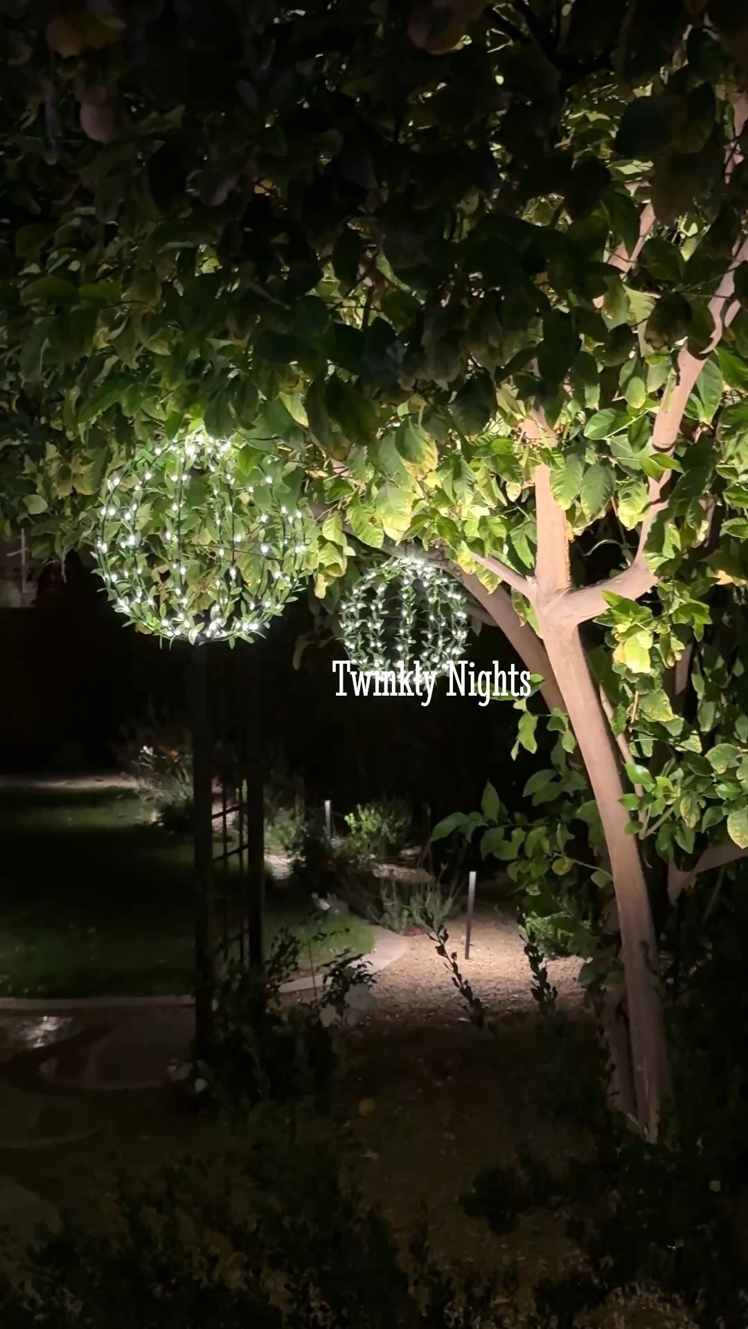 I’ve been adding extra twinkles around my yard for some dreamy ambience. ✨

#backyard #backyarddecor #solarlights 

#LTKFindsUnder50 #LTKHome