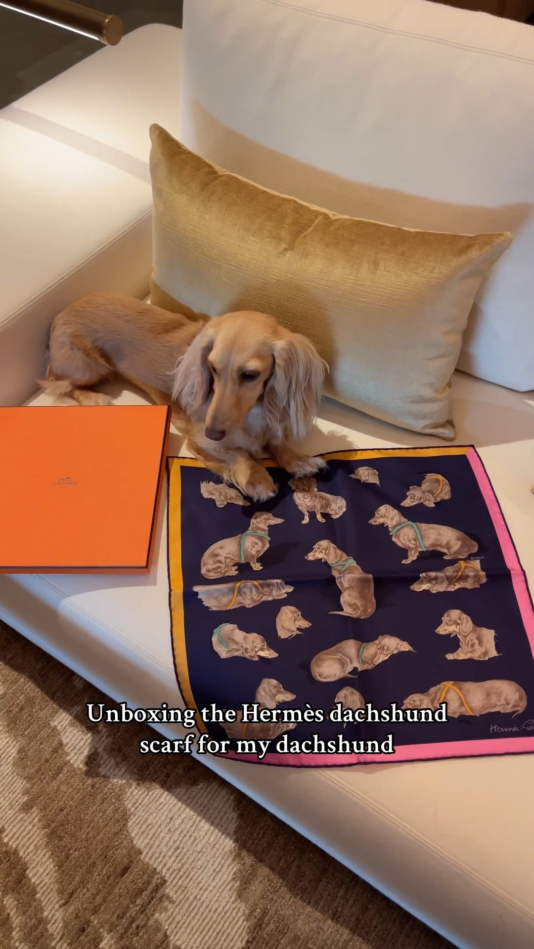 The iconic Hermès dachshund scarf called ‘Les Bassets’ 🧡

We post restocks on our IG @thedachshundedit so follow there if you want to get notified of new Hermes dachshund releases!

.

.

.

.

(Dachshund finds, Hermes Les Bassets scarf, Hermes silk scarf, Hermes Les Teckels scarf, Hermès Le Teckel scarf, Hermes dachshund silk scarf, luxury fashion, headscarf, silk scarfs, sausage dog silk scarf, wiener dog scarf, doxie scarf, dachshund mom, dachshund gifts, designer dachshund gifts, luxury dachshund gifts, designer dachshund finds, luxe dachshund gifts, gifts for the dachshund lover, luxury dachshund accessories, designer dachshund accessories, The Dachshund Edit #dachshund #hermes #silkscarf #hermesdachshund )

#LTKPets #LTKHome #LTKStyleTip