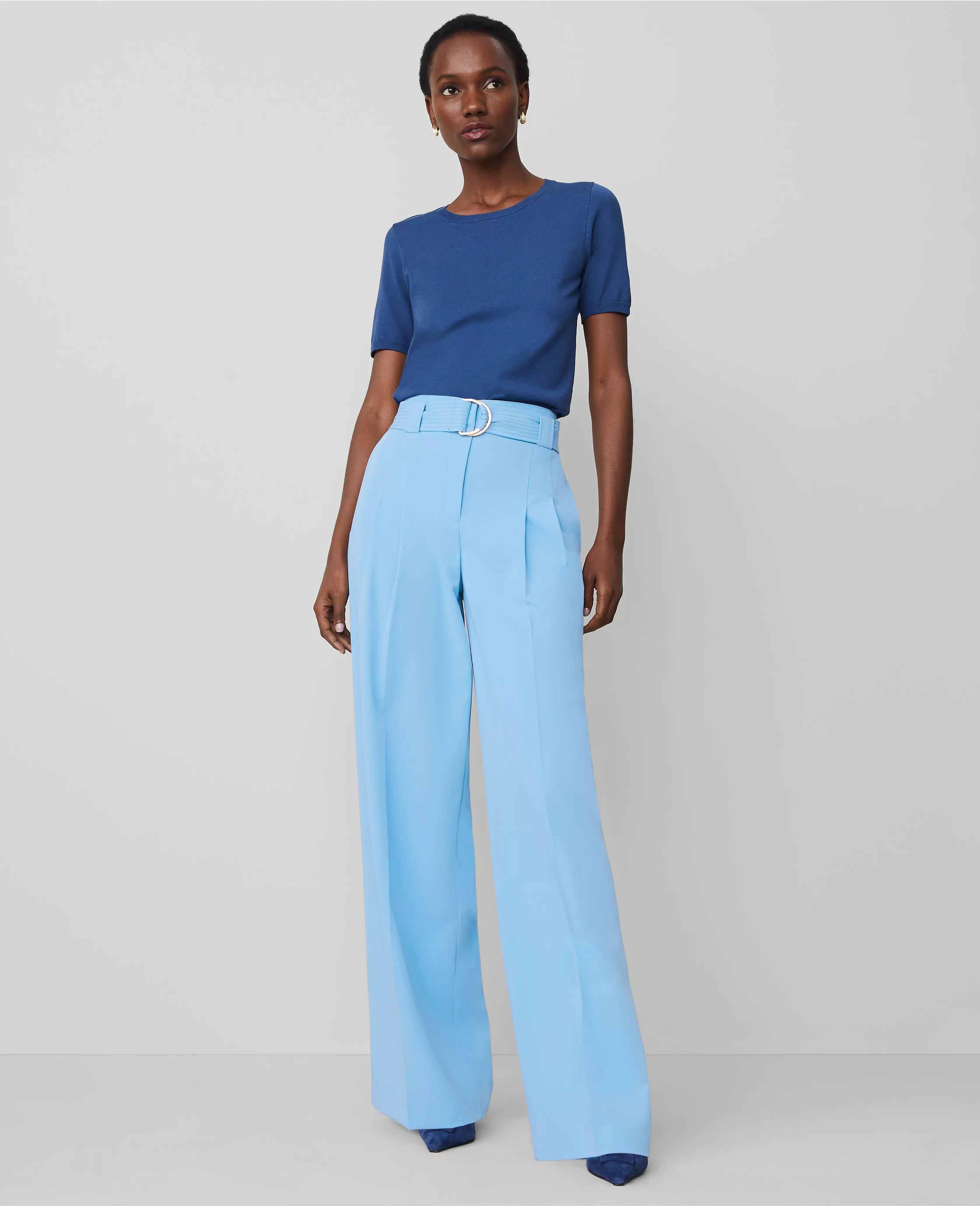 The Belted Wide-Leg Pant | Ann Taylor