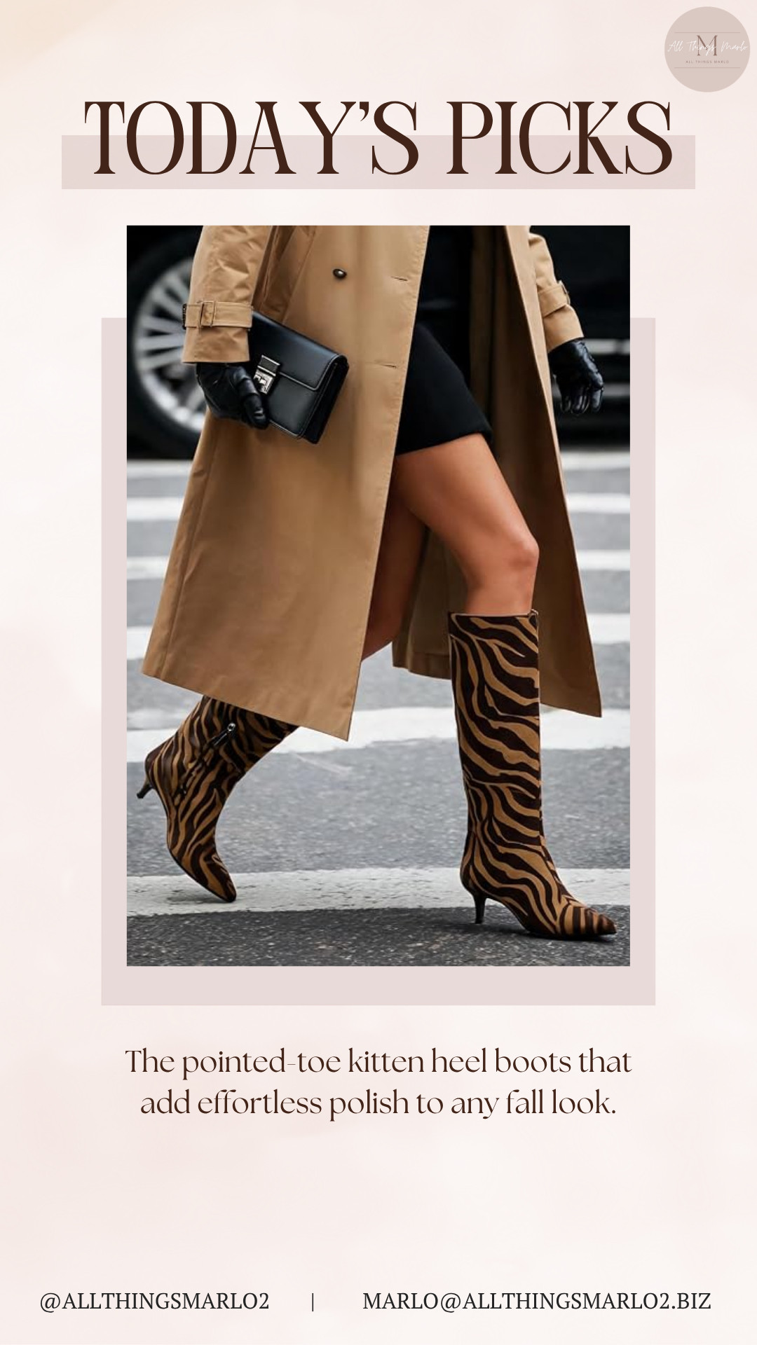 The pointed-toe kitten heel boots that add effortless polish to any fall look. 

 #LTKSeasonal #LTKWorkwear #LTKTravel