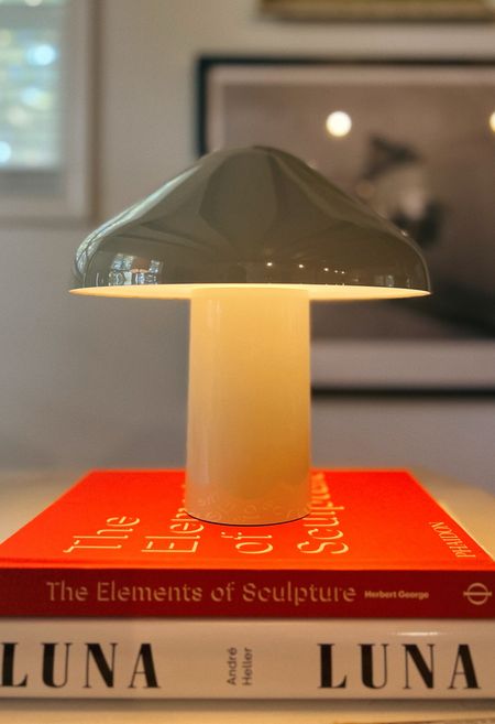 rechargeable mushroom table lamp x #hay #midcenturymodern #lamps #under200