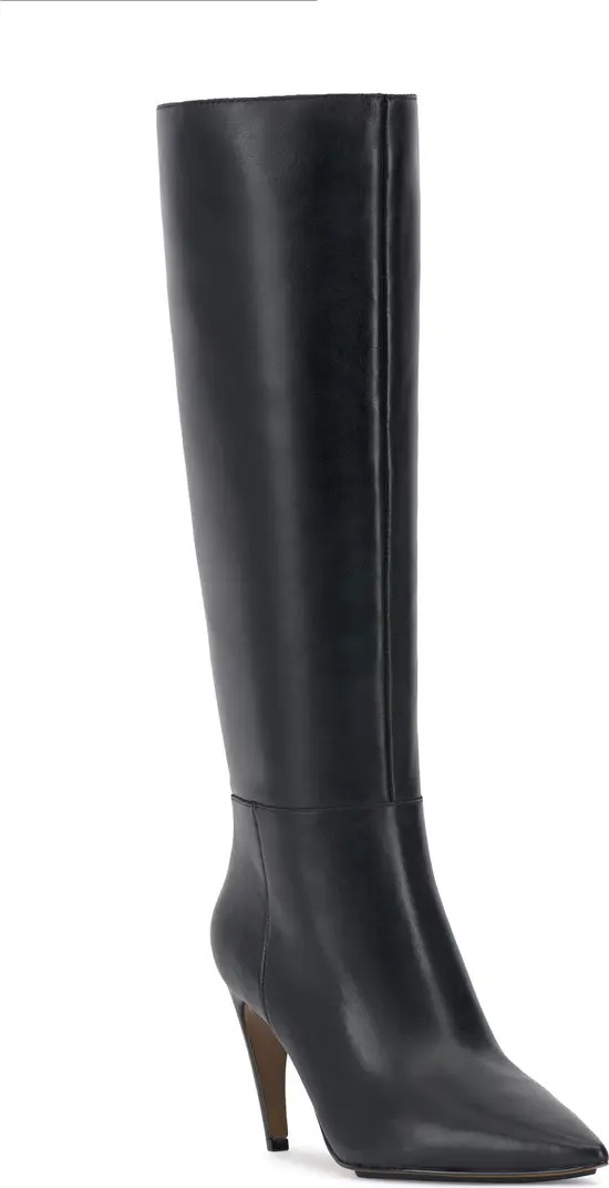 Brigitte Pointed Toe Knee High Boot (Women) | Nordstrom Rack