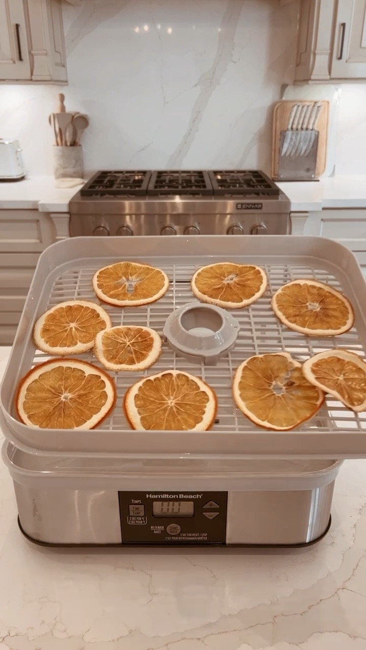 Food dehydrator 
Amazon finds
Diy 


#LTKHoliday #LTKGiftGuide #LTKSeasonal