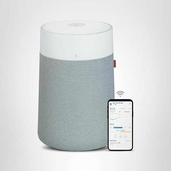 BLUEAIR Air Purifiers for Medium Rooms, Bedroom, Kitchen, Cleans 1,858 sqft in one hour, HEPASile... | Amazon (US)
