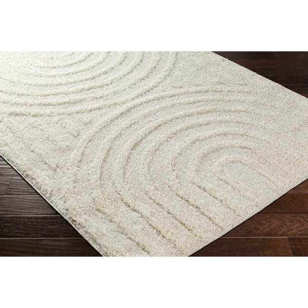 Jackson Beige Shag Area Rug | Wayfair North America