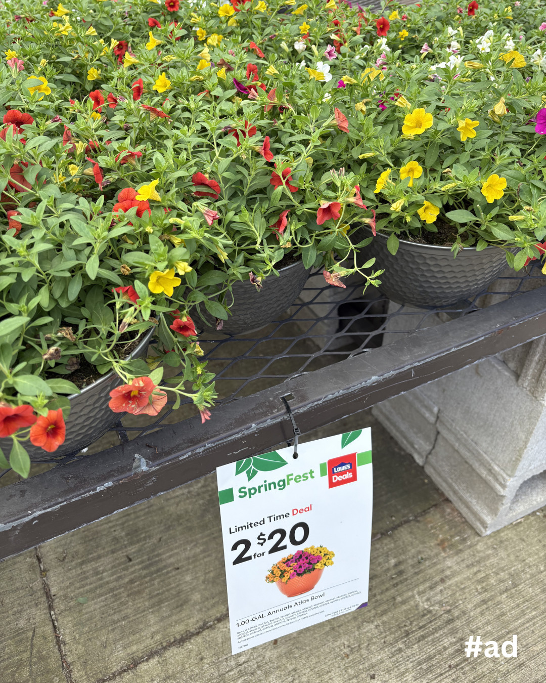 #AD Went to Lowe’s for one thing… clearly that didn’t happen 😅🌿
SpringFest got me — the plants are SO full right now and the deals were too good
I grabbed a mix of ferns, flowers, and a few extras for my porch and linked everything here 💚
#LowesPartner @loweshomeimprovement 
 

 #LTKSeasonal #LTKHome