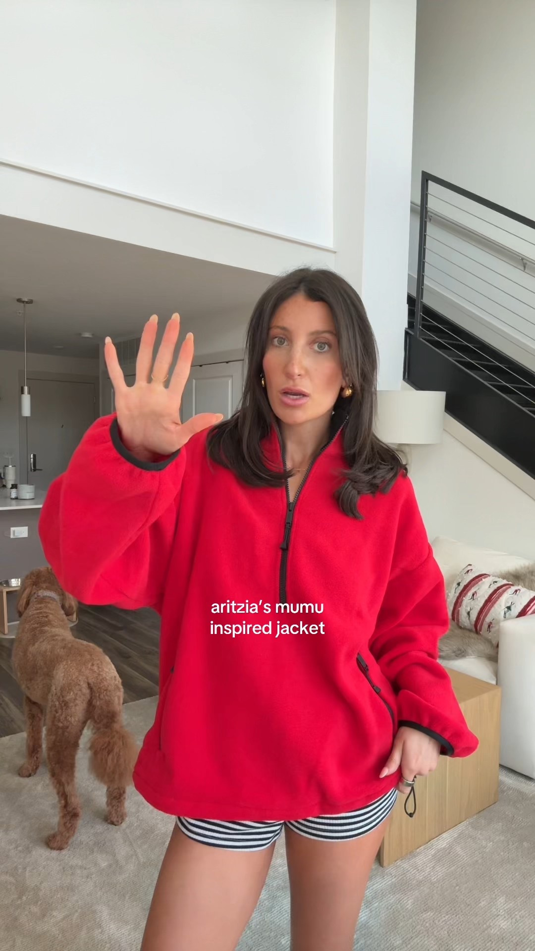 the softest tna mumu inspired quarter zip fleece from aritzia! $110 comes in multiple colors. 

#LTKSeasonal #LTKHoliday #LTKGiftGuide