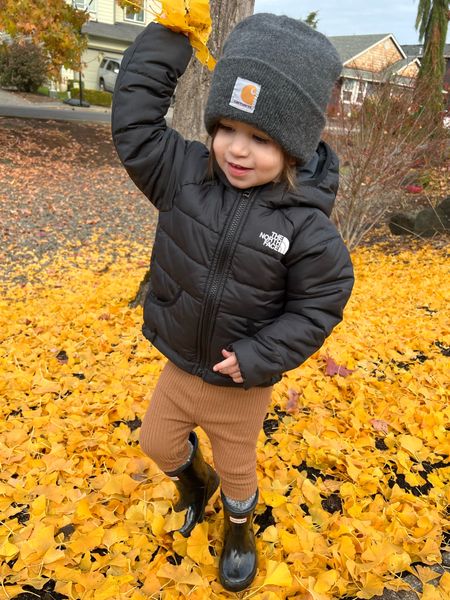 Cozy Christmas Ideas for Toddlers! 

Our favorite fall & winter items this year, get them before they’re gone! Black Friday sales happening now. Can’t beat the deal on this North Face Puffer Jacket!!! 

North Face has 25% off if you sign up to be a member

Hunter Boots has sale items and 15% off for new customers

Extra 35% off at Old Navy and major sales! 

#toddler #kids #ltk #ltkchristmas #ltkholiday #toddlerclothes #toddlerfashion #ootd #outerwear #winterclothes #coat #jacket #beanie #boots #rainboots #kidsootd #toddlerootd #fallfashion #wintercoat #puffer #kidsclothes #toddlergirl #shoes #kidsshoes #winterwear #toddlerouterwear #kidsouterwear  #oldnavy #northface #nordstrom #hunterboots #carhartt 

#LTKkids #LTKsalealert #LTKGiftGuide