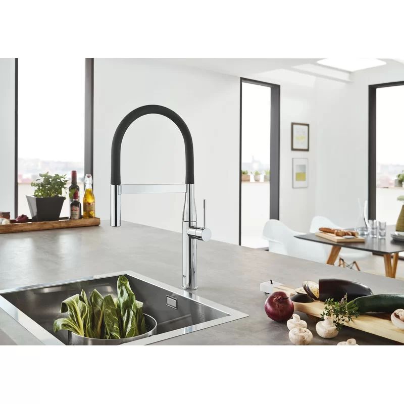30295000 Essence Single Handle Kitchen Faucet with SilkMove® | Wayfair North America