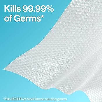 The Honest Company Fragrance-Free Sanitizing Alcohol Wipes, Antibacterial Safe for Hands, Kills 9... | Amazon (US)