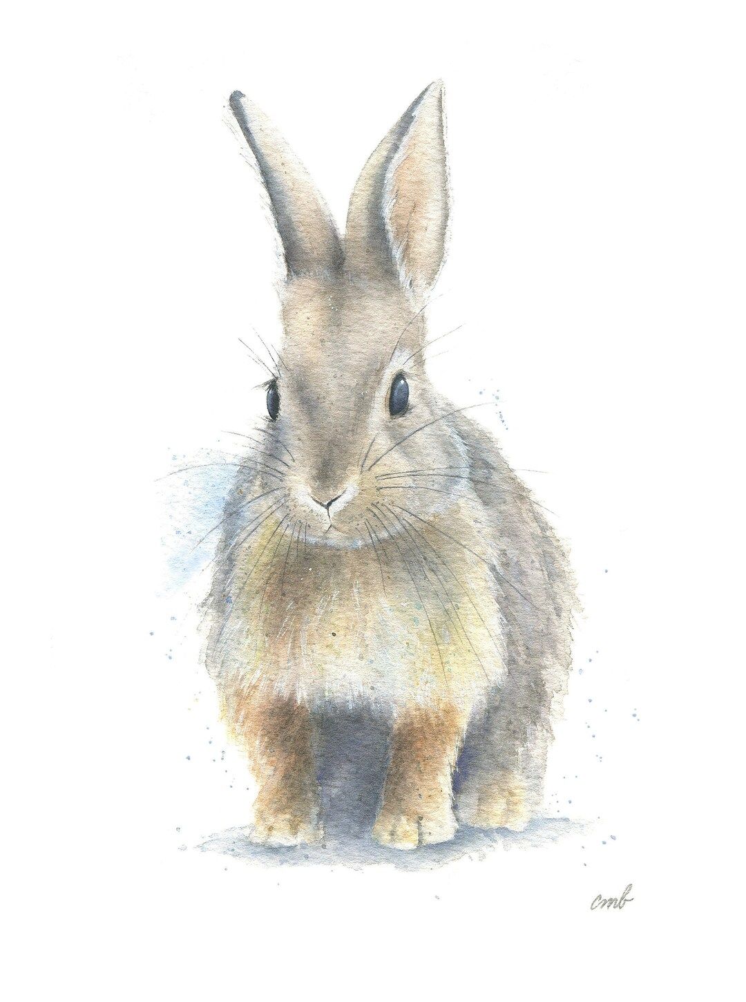 Bunny Watercolor Print by Christy Barber Rabbit Watercolor - Etsy | Etsy (US)