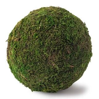 6" Moss Ball by Ashland® | Michaels Stores