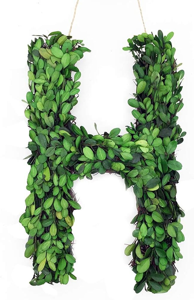 Modern Home 12" Real Preserved Boxwood Monogram Wreath Letters - H | Amazon (US)