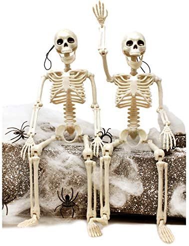 JOYIN 2 Packs 16" Posable Halloween Skeletons | Full Body Posable Joints Skeletons for Halloween ... | Amazon (US)