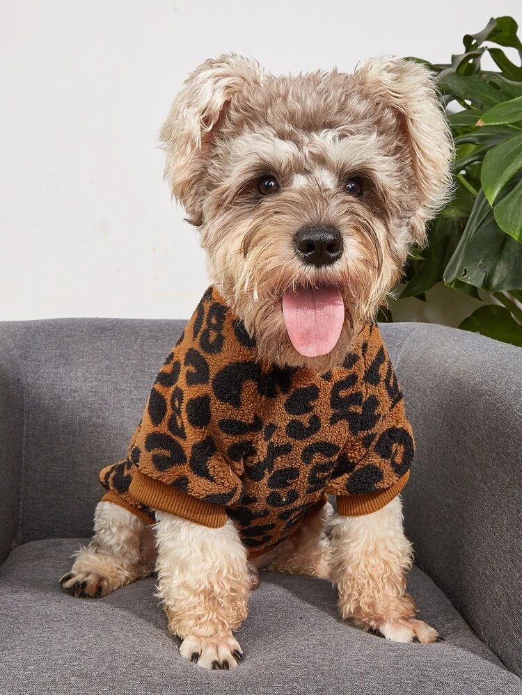 Leopard Print Pet Sweatshirt | SHEIN