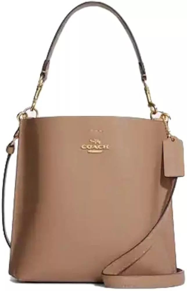 Coach Women's Mollie Bucket Bag 22 Crossbody Shoulder