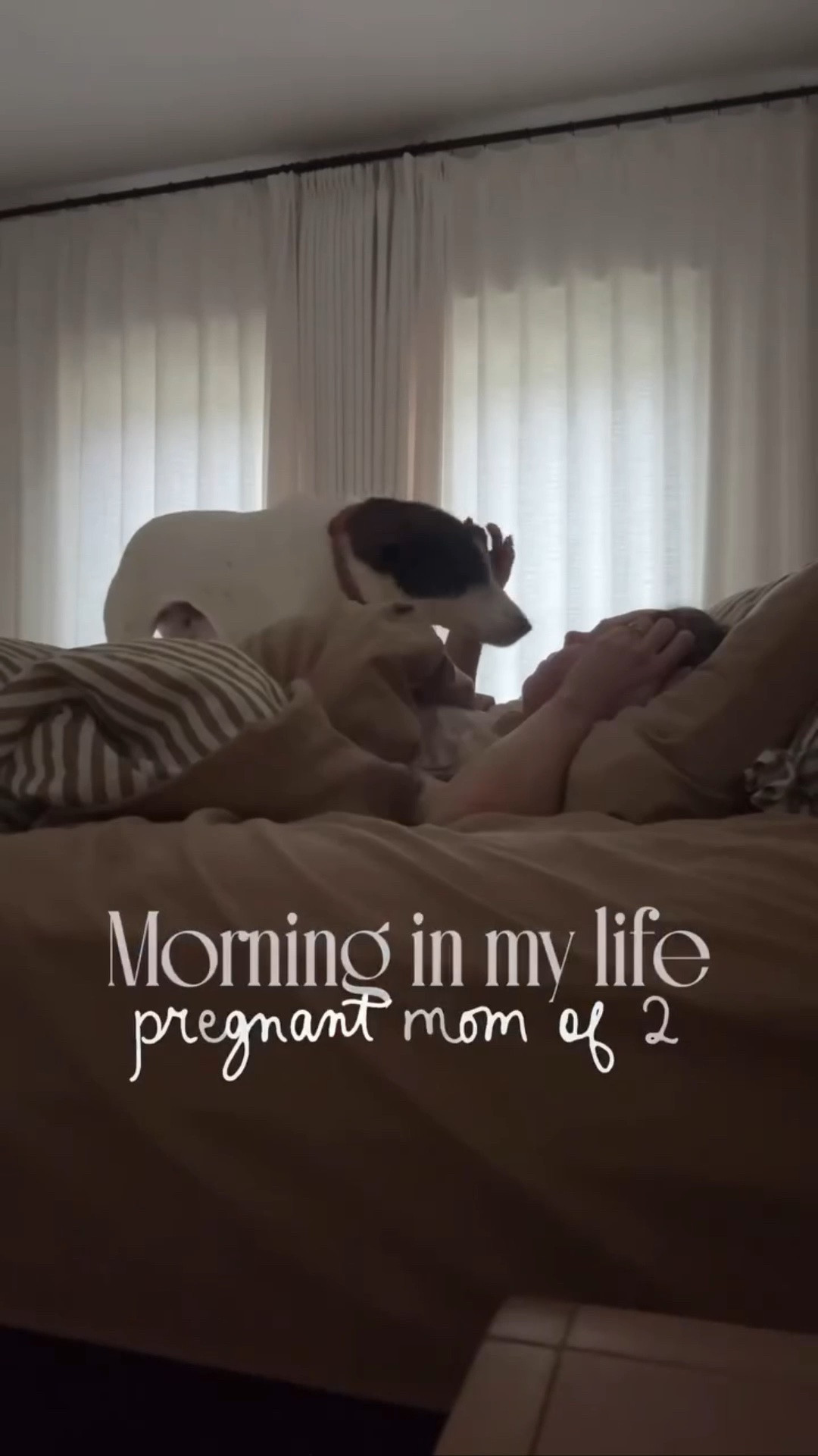 mornings have looked a little like this lately 🤍

#pregnant #morning #routine #momlife #vlog

#LTKdayinmylife #LTKgrwm #LTKBump
