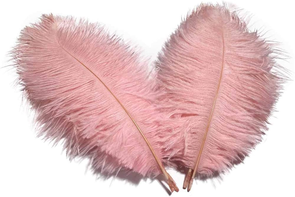 Lampu Ostrich Feathers 8-10 inch/20-25cm for Wedding Centerpieces Home Decoration Pack of 10 （L... | Amazon (US)
