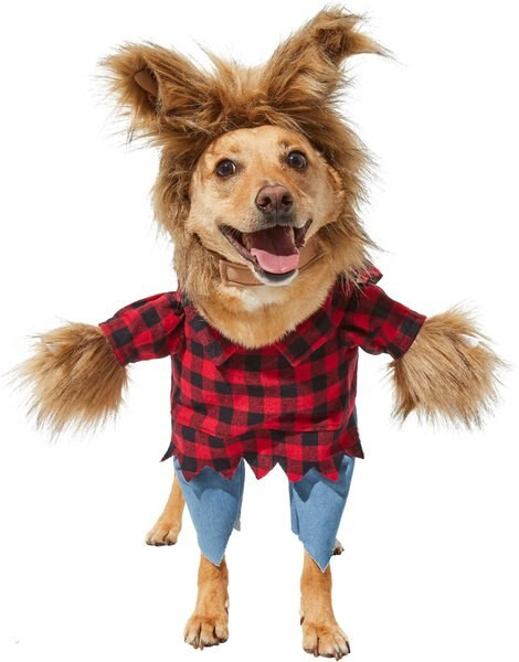 FRISCO Front Walking Werewolf Dog & Cat Costume, XXX-Large - Chewy.com | Chewy.com