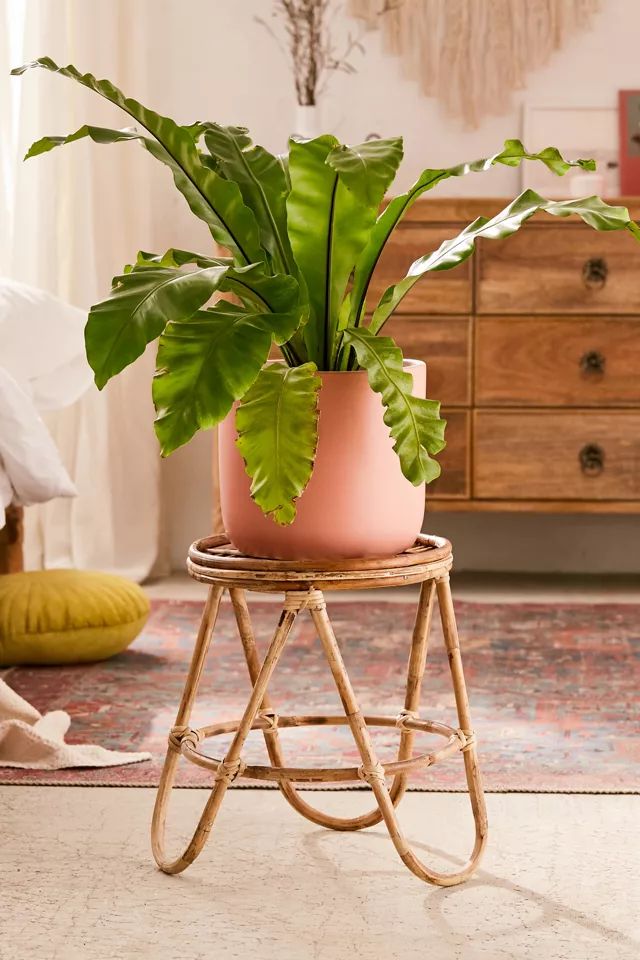 Skye Rattan Stool | Urban Outfitters (US and RoW)