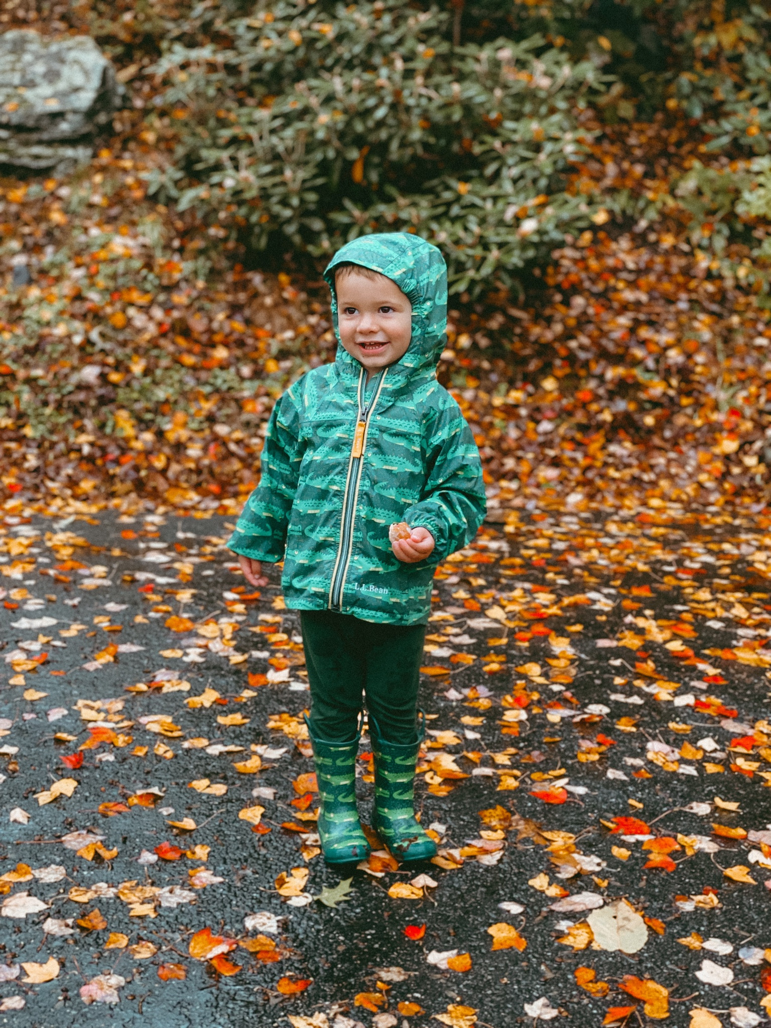 Rains for nothing on us in our L.L. Beans ☔️🍁🍂
.
.
.
#fallfinds #kidsstyle #toddlerstyle #fallstyle #kohls #walmart #seasonalfinds #sale #ltkfamily #ltkfindsunder50 #boystyle #boyfashion #dailyfit #ootd #ltkkids #ltkmom #babystyle #giftideas#seasonal #ltkbaby #womensclothes #holiday

#LTKkids #LTKGiftGuide #LTKSeasonal