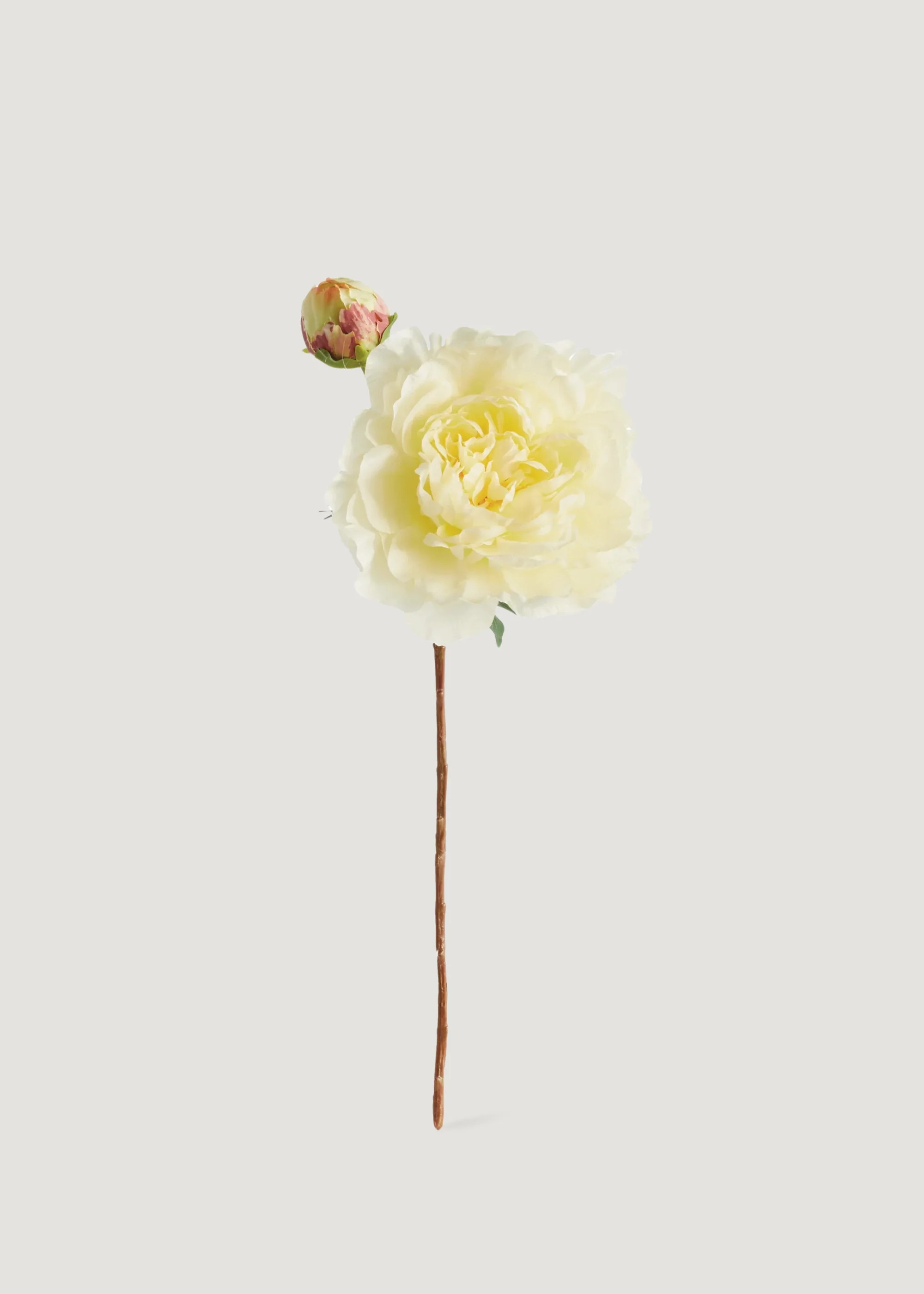 Yellow Artificial Peony | Nature-Inspired Faux Flowers | Afloral | Afloral