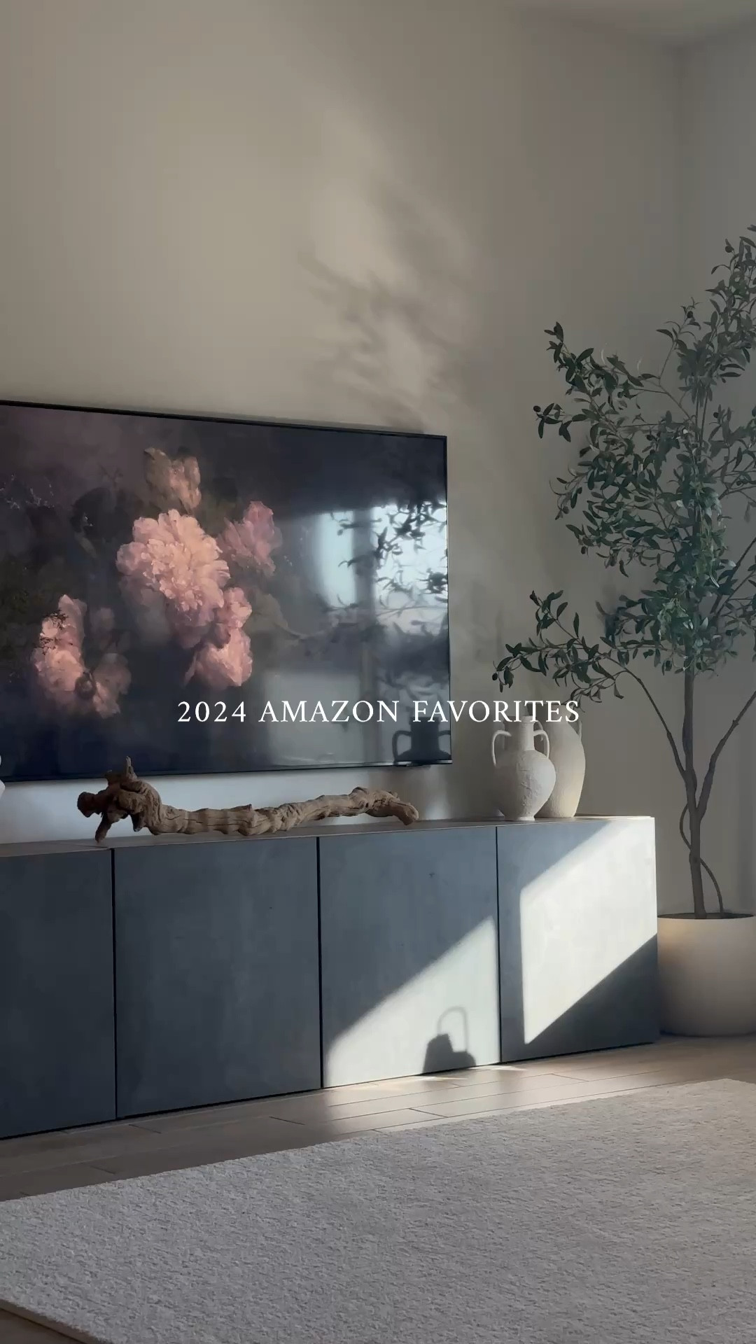 2024 Amazon favorites 