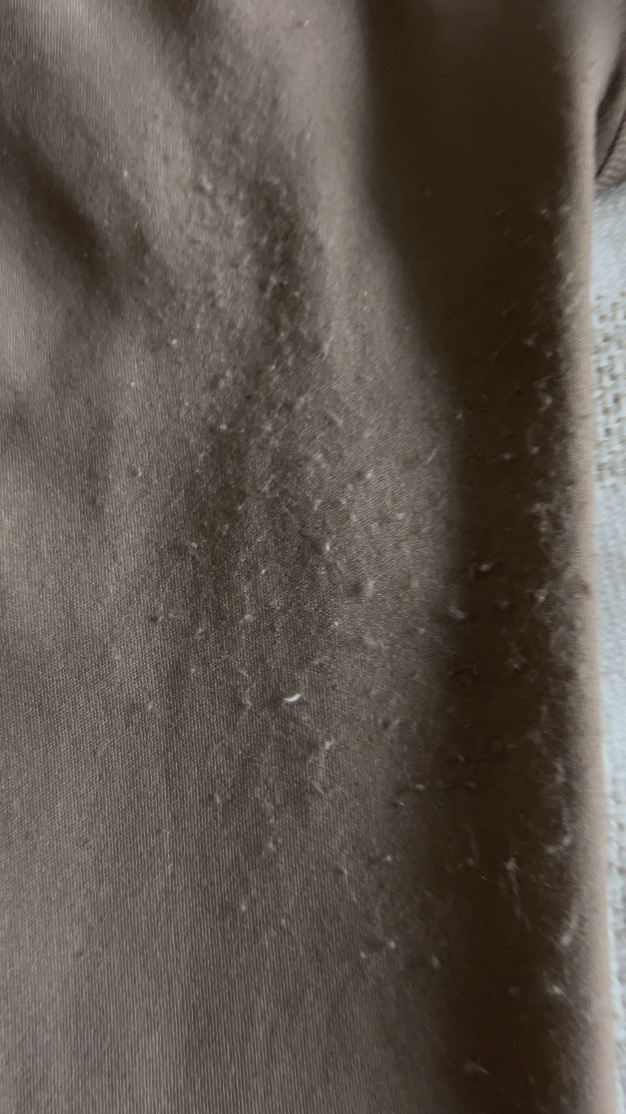 The best pilling/fabric shaver!!!

#LTKstyletip