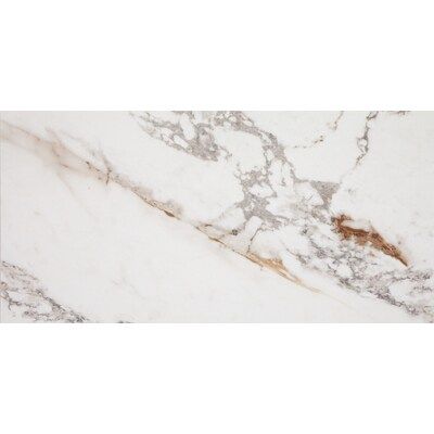 STAINMASTER  Calacatta Gem 12-in x 24-in Matte Porcelain Marble Look Floor and Wall Tile | Lowe's