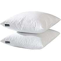 basic home 24x24 Euro Throw Pillow Inserts-Down Feather Pillow Inserts-Cotton Fabric-Set of 2-Whi... | Amazon (US)