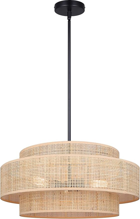 Canarm Bellamy 3-Light Bohemian Chandelier, Plastic Rattan-Style Shade, Modern Hanging Ceiling Li... | Amazon (US)