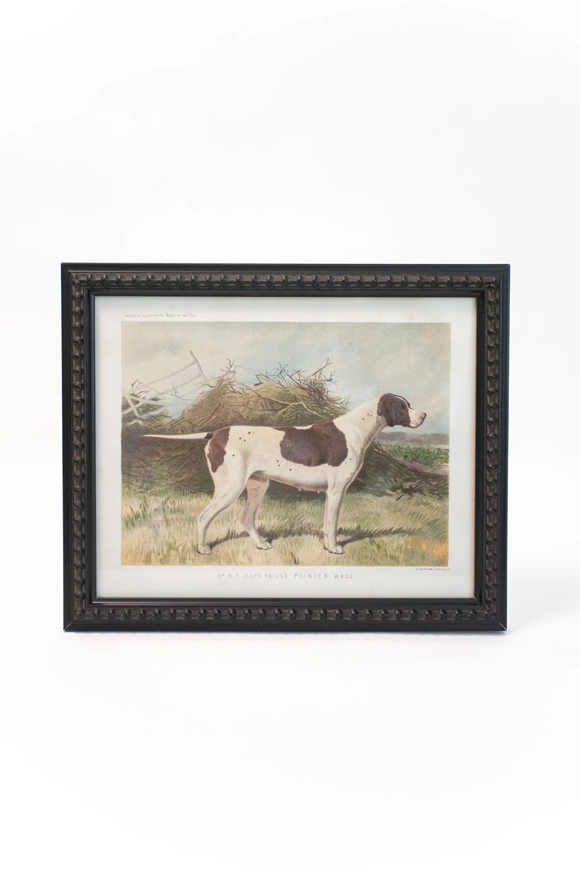 Pointer Dog Framed Wall Art | THELIFESTYLEDCO