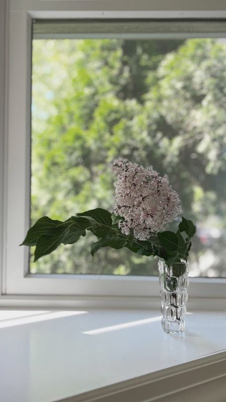 Fresh lilacs from the garden in these beautiful vintage crystal bud vases 

#LTKFindsUnder50 #LTKHome #LTKSeasonal