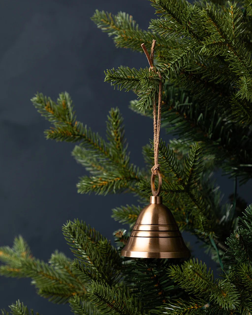 Rounded Brass Bell | McGee & Co.