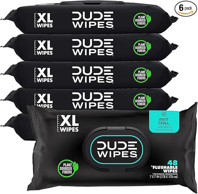 DUDE Wipes Mint Chill Flushable Wipes - Extra-Large Adult Wet Wipes - 6 Pack (288 Count) - Infuse... | Amazon (US)