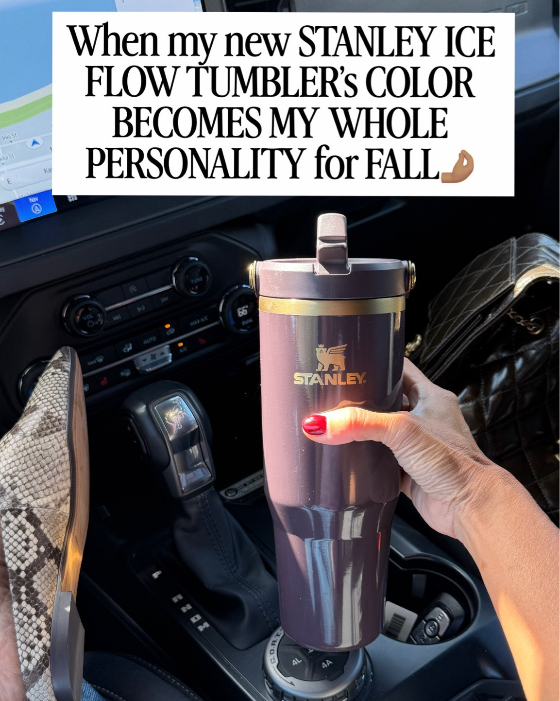 The newest fig color of my favorite  STANLEY ICE FLOW FLIP STRAW TUMBLER has become my entire personality for fall. Living in Hawaii, I only use the best to keep my liquids iced cold at all times. THIS DOES IT. A major plus is that it’s so aesthetic that you’ll be so proud of carrying it around. 

I can count in my one hand the number of brands I’ve partnered with; but naturally I had to say yes and partner with a brand I so love and use everyday. 

If you haven’t yet, I highly encourage you to give it a try. To be honest, from a mama who dislikes drinking water, carrying my Stanley at all times was a game changer. You’ll thank me later. ❤️

#stanleypartner #ad #sponsored

#LTKmomlife #LTKselfcare #LTKActive